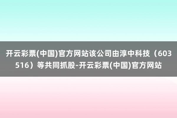 开云彩票(中国)官方网站该公司由淳中科技（603516）等共同抓股-开云彩票(中国)官方网站